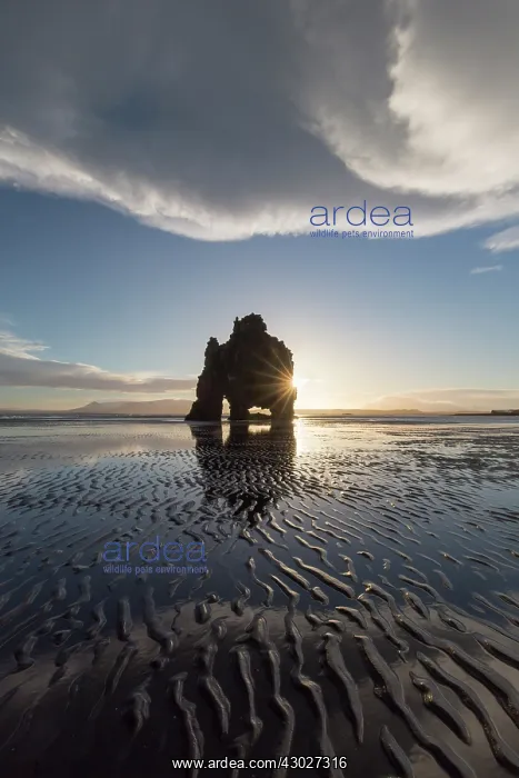 : Hvitserkur 15 m high basalt stack along the eastern : Hvitserkur 15 m high basalt stack along the eastern