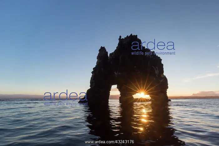 : Hvitserkur 15 m high basalt stack along the eastern : Hvitserkur 15 m high basalt stack along the eastern