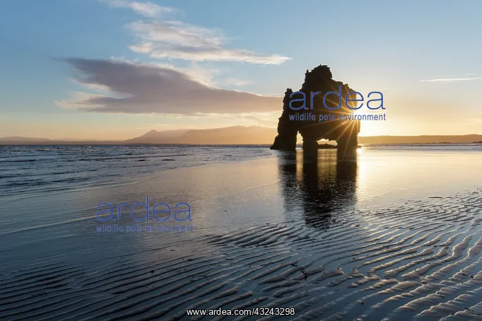 : Hvitserkur 15 m high basalt stack along the eastern : Hvitserkur 15 m high basalt stack along the eastern