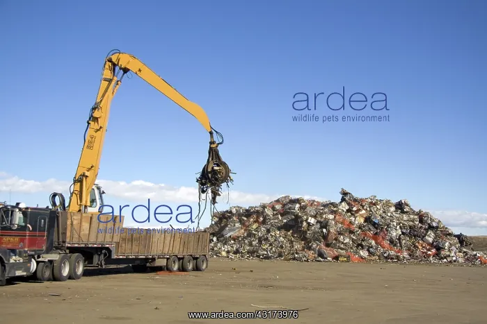 : Hydraulic Grapple Lifting Scrap Steel : Hydraulic Grapple Lifting Scrap Steel