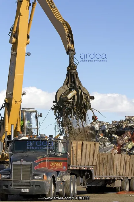 : Hydraulic Grapple Lifting Scrap Steel : Hydraulic Grapple Lifting Scrap Steel