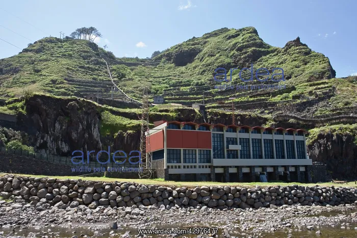 : Hydroelectric plant : Hydroelectric plant