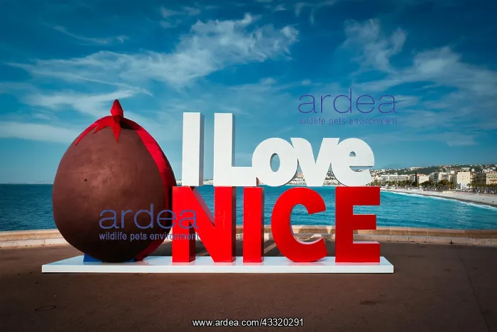 : I love Nice in Easter style with chocloate egg with : I love Nice in Easter style with chocloate egg with