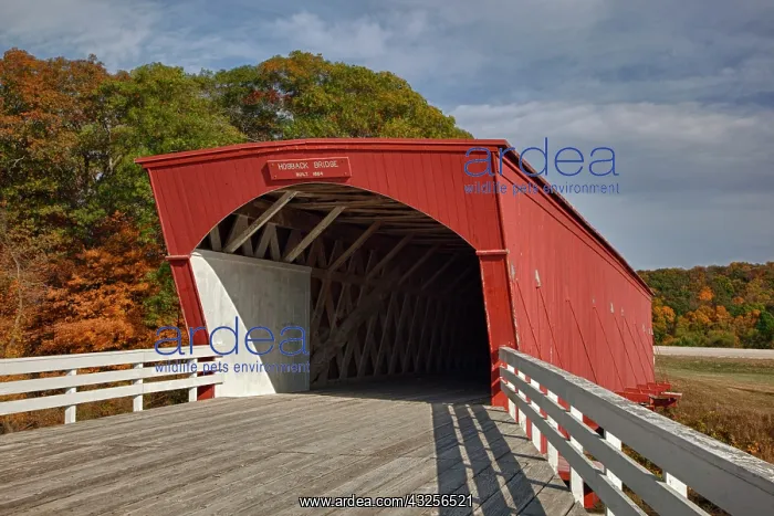 : IA, Madison County, Hogback Covered Bridge : IA, Madison County, Hogback Covered Bridge
