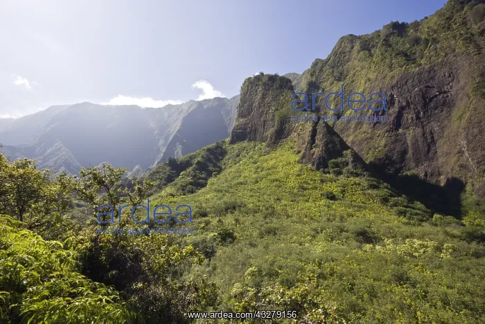 : Iao Needle im Kepaniwai County Park, Iao Valley : Iao Needle im Kepaniwai County Park, Iao Valley