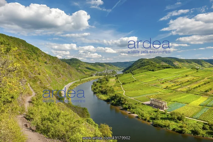: iblavg12905416.jpg : iblavg12905416.jpg