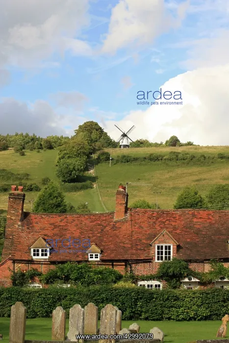 : Ibstone Windmill : Ibstone Windmill