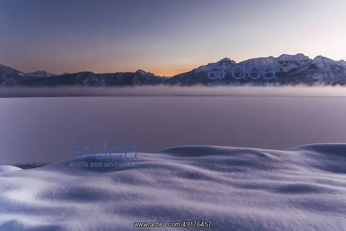 : ibxcfr11906605.jpg : ibxcfr11906605.jpg