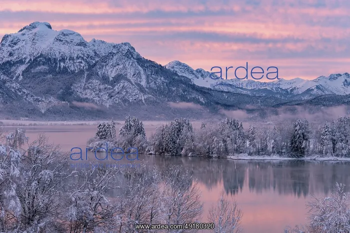 : ibxcfr11906664.jpg : ibxcfr11906664.jpg