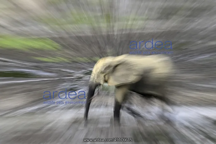 : ibxfvp11661139.jpg : ibxfvp11661139.jpg