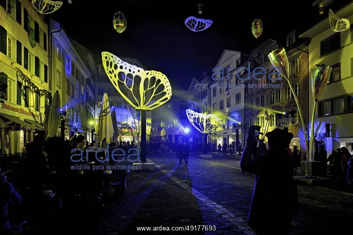 : ibxshu12440854.jpg : ibxshu12440854.jpg