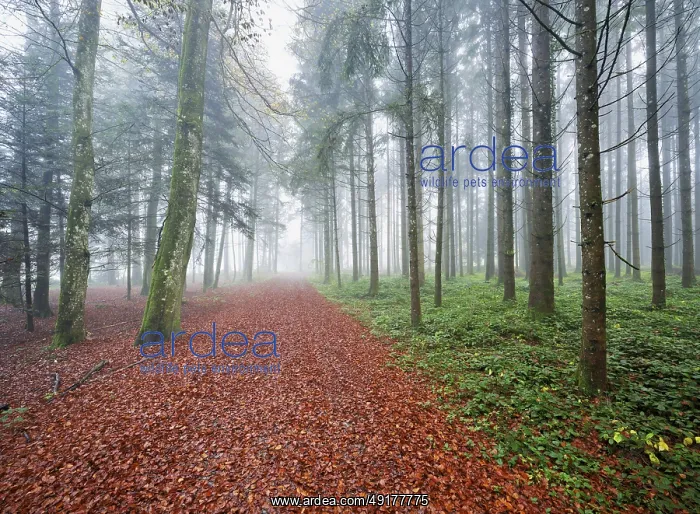 : ibxshu13139844.jpg : ibxshu13139844.jpg