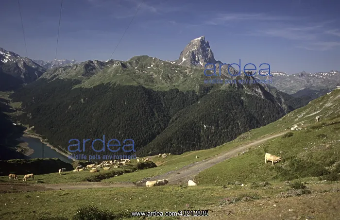 : ic du Midi d'Ossau and Ossau Valley France : ic du Midi d'Ossau and Ossau Valley France