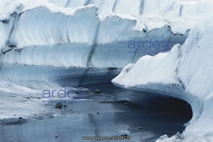 : Ice Detail : Ice Detail