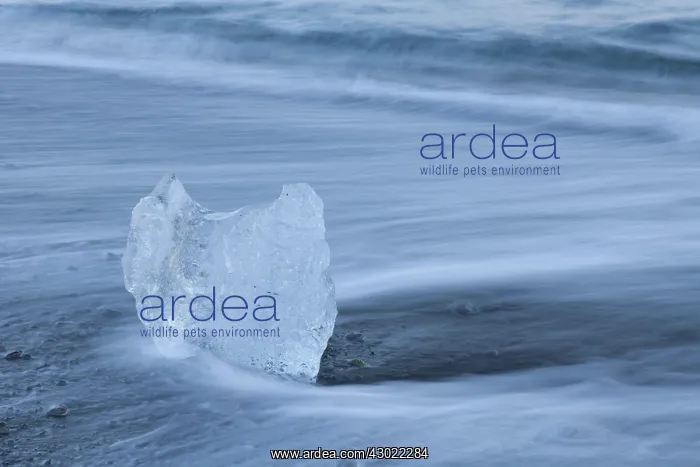  : Ice on the beach