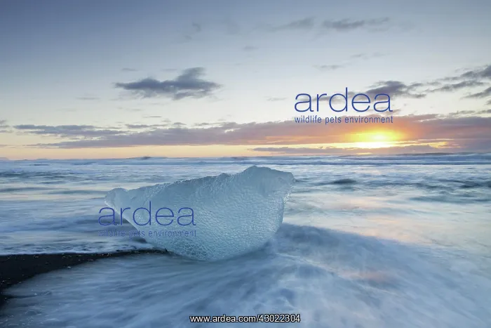  : Ice on the beach