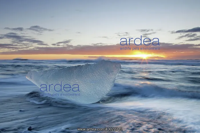  : Ice on the beach