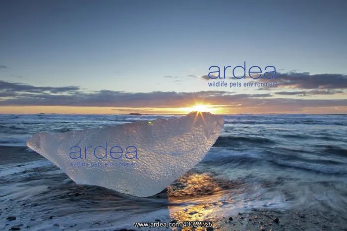  : Ice on the beach