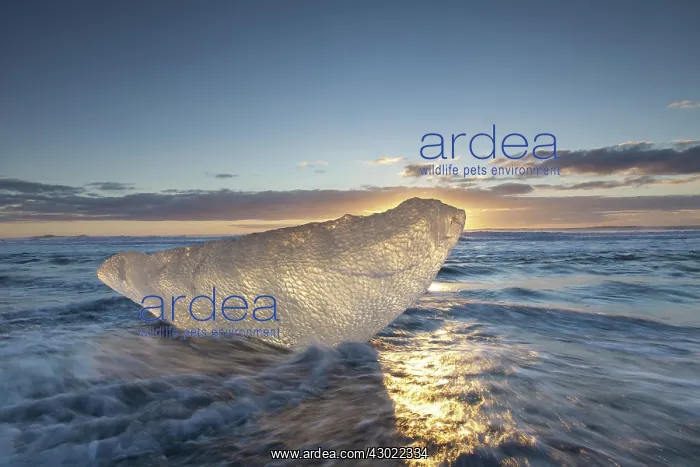  : Ice on the beach