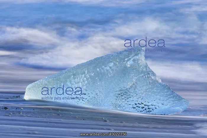  : Ice on the beach
