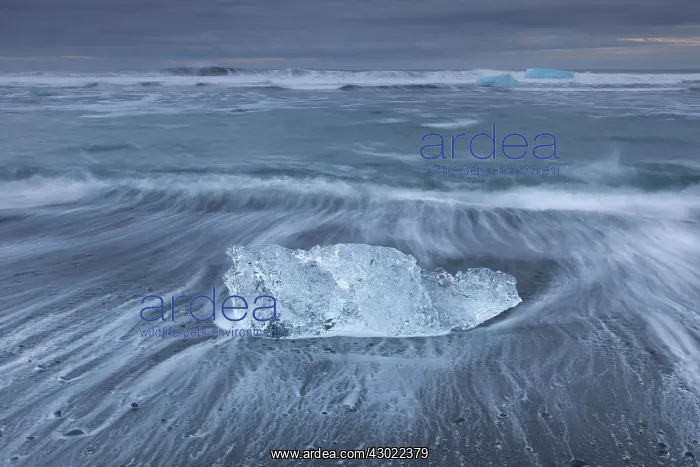  : Ice on the beach