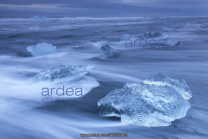  : Ice on the beach