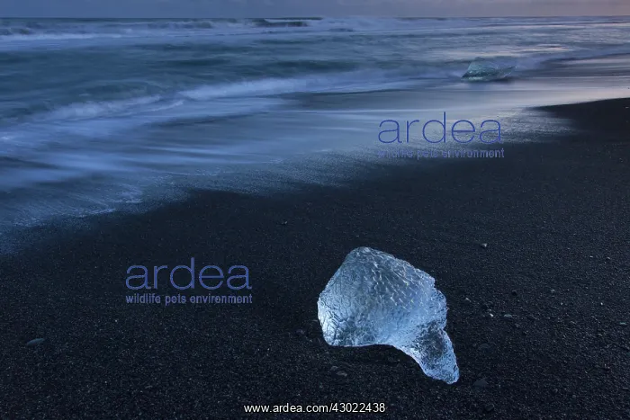  : Ice on the beach