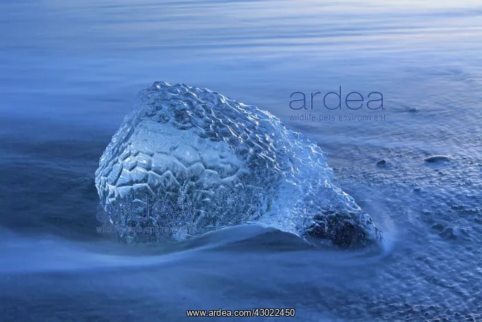  : Ice on the beach