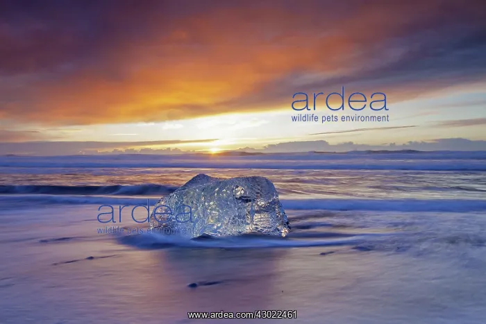  : Ice on the beach