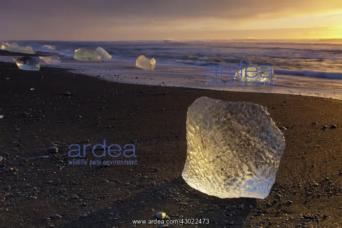  : Ice on the beach