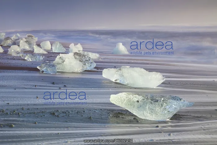  : Ice on the beach