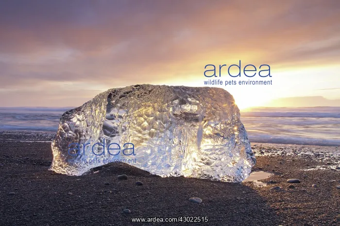  : Ice on the beach