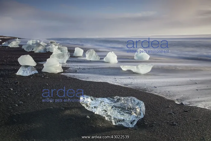  : Ice on the beach