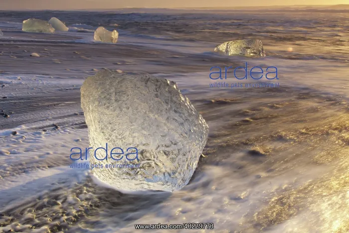  : Ice on the beach
