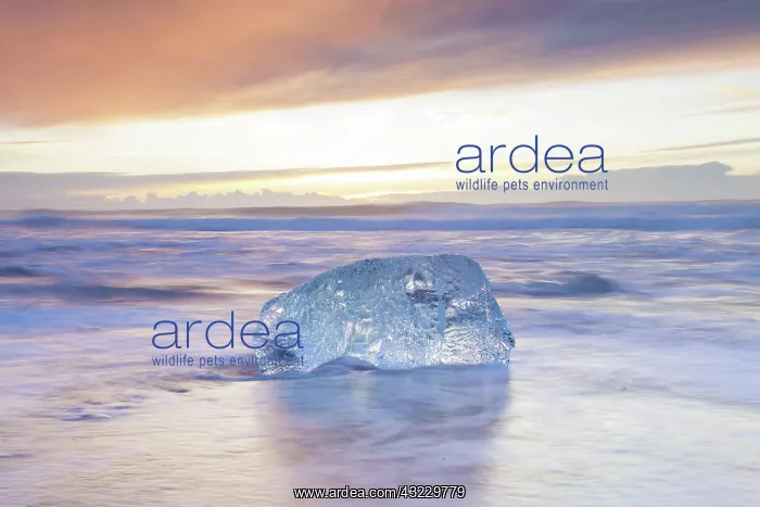  : Ice on the beach