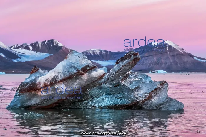 : Ice berg shape Kongsfjorden in a unique abstract : Ice berg shape Kongsfjorden in a unique abstract