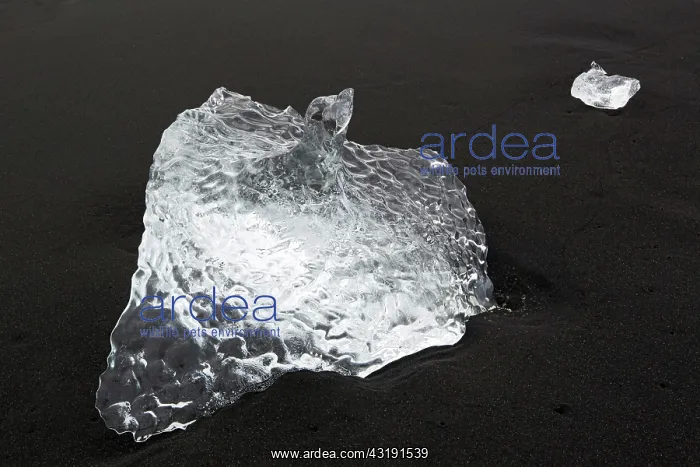 : Ice block on black beach, Iceland, Jokulsarlon : Ice block on black beach, Iceland, Jokulsarlon
