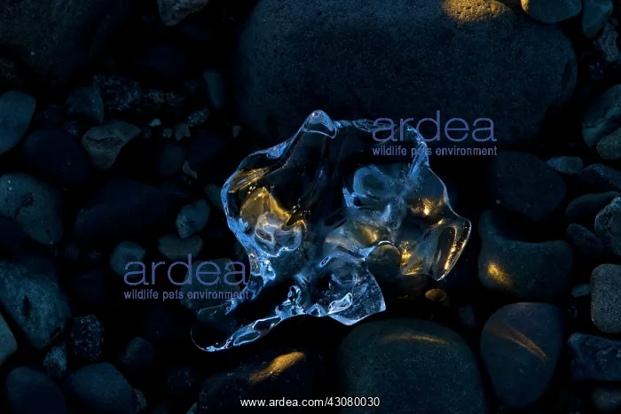 : Ice block on pebbles : Ice block on pebbles
