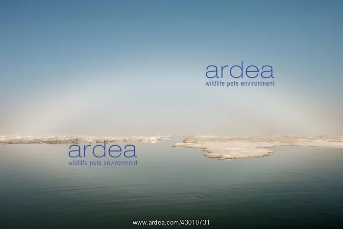 : Ice Bow over Arctic Ice Arctic Ocean, near Prudhoe : Ice Bow over Arctic Ice Arctic Ocean, near Prudhoe