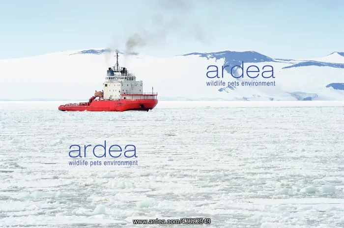 : Ice Breaker at work in front of MacMurdo station : Ice Breaker at work in front of MacMurdo station