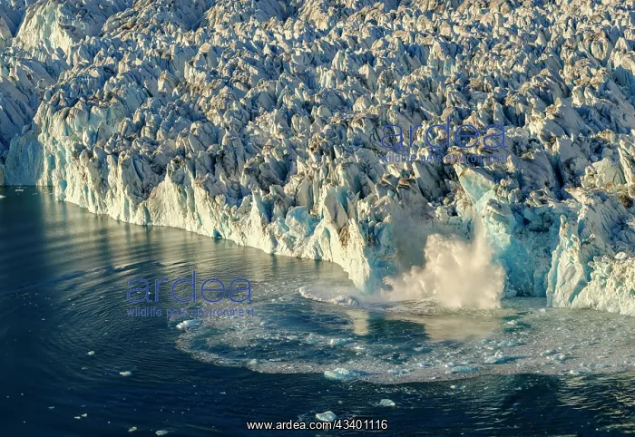 : Ice calving. Knud Rasmussen Glacier (also called : Ice calving. Knud Rasmussen Glacier (also called