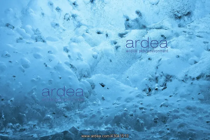 : Ice Cave under glacier : Ice Cave under glacier