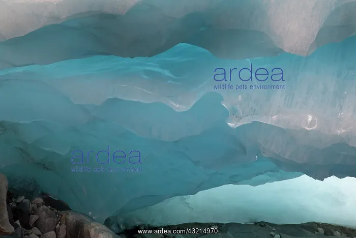 : Ice cave and glacier snout of Schlatenkees : Ice cave and glacier snout of Schlatenkees