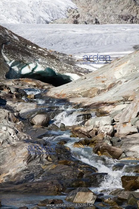 : Ice cave and glacier snout of Schlatenkees : Ice cave and glacier snout of Schlatenkees