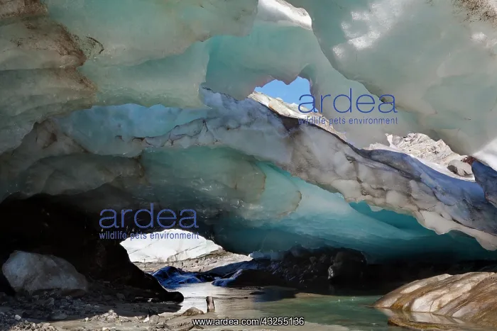 : Ice cave and glacier snout of Schlatenkees