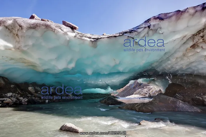 : Ice cave and glacier snout of Schlatenkees : Ice cave and glacier snout of Schlatenkees