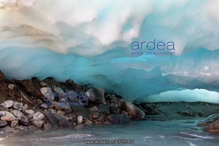 : Ice cave and glacier snout of Schlatenkees : Ice cave and glacier snout of Schlatenkees
