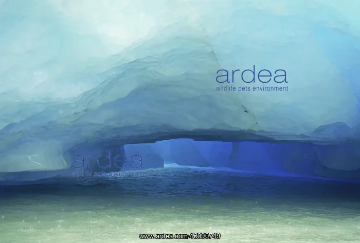  : Ice Cave in Iceberg