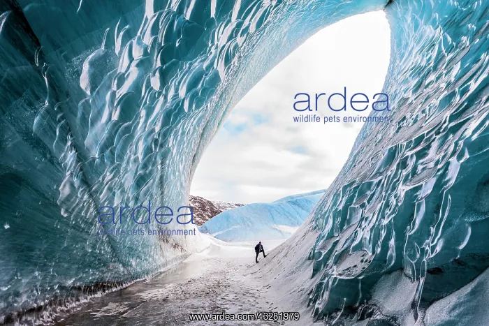 : Ice cave in Svinafellsvatn, Austurland, South Iceland : Ice cave in Svinafellsvatn, Austurland, South Iceland
