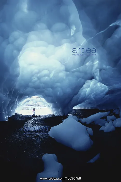 : Ice Caves, Mt. Rainier : Ice Caves, Mt. Rainier
